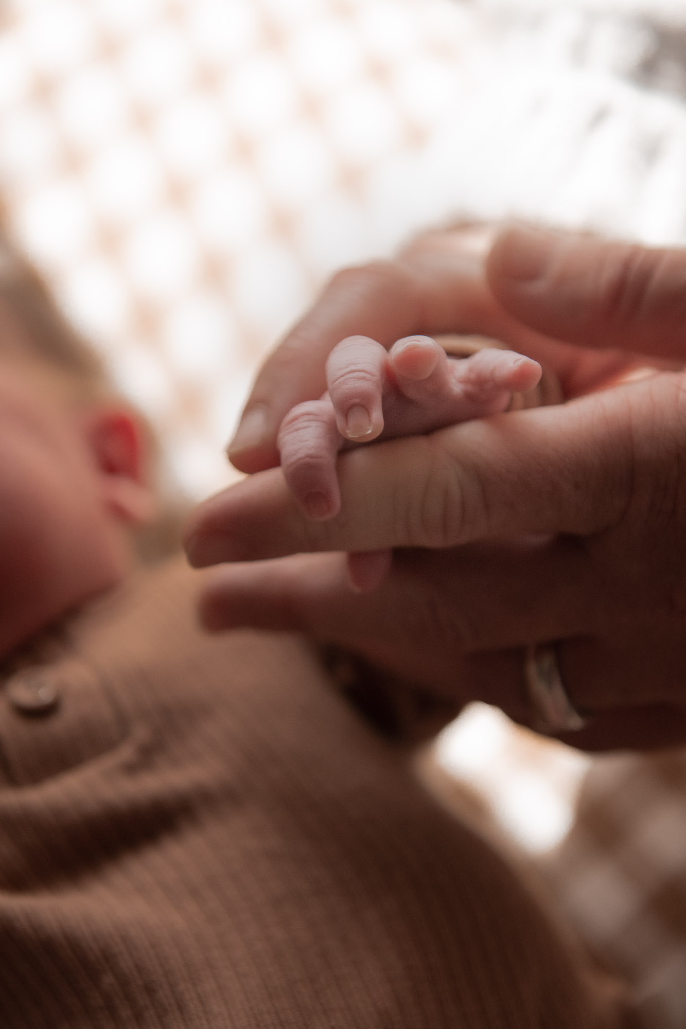 Gentle newborn session by Camellia Rose Photography, Launceston